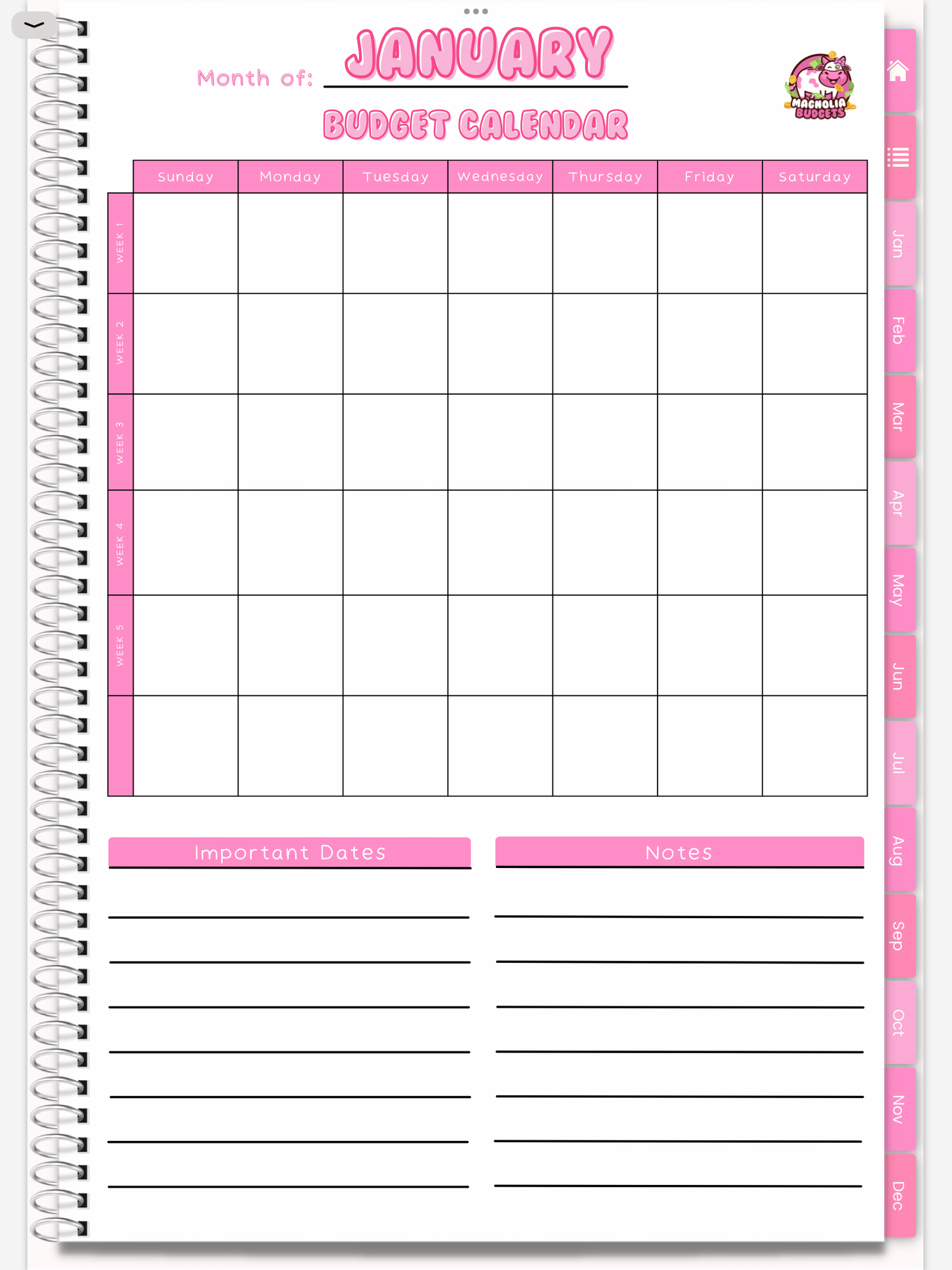 DIGITAL | In My Bag Budget Planner | Goodnotes Planner | Monthly Digital Planner | iPad Planner | WHITE BACKGROUND