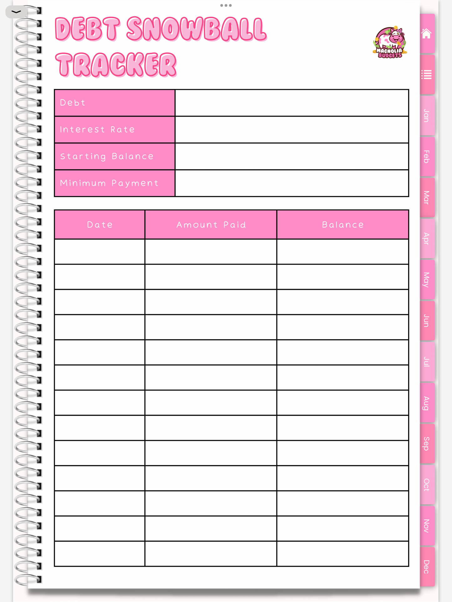 DIGITAL | In My Bag Budget Planner | Goodnotes Planner | Monthly Digital Planner | iPad Planner | WHITE BACKGROUND