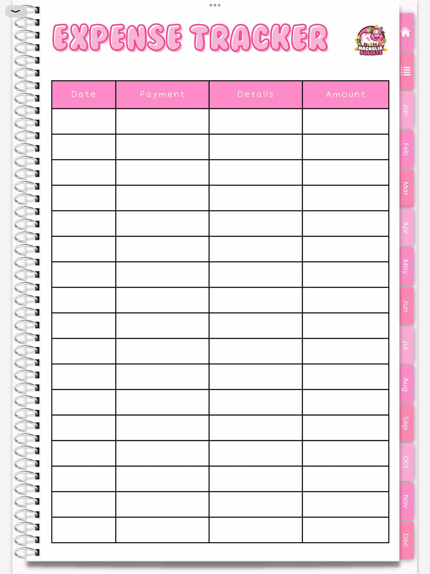 DIGITAL | In My Bag Budget Planner | Goodnotes Planner | Monthly Digital Planner | iPad Planner | WHITE BACKGROUND