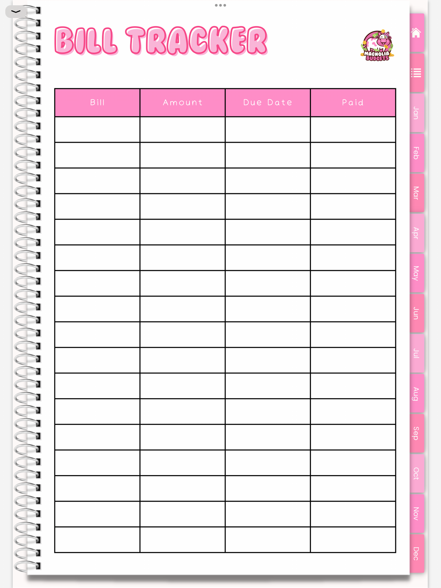 DIGITAL | In My Bag Budget Planner | Goodnotes Planner | Monthly Digital Planner | iPad Planner | WHITE BACKGROUND