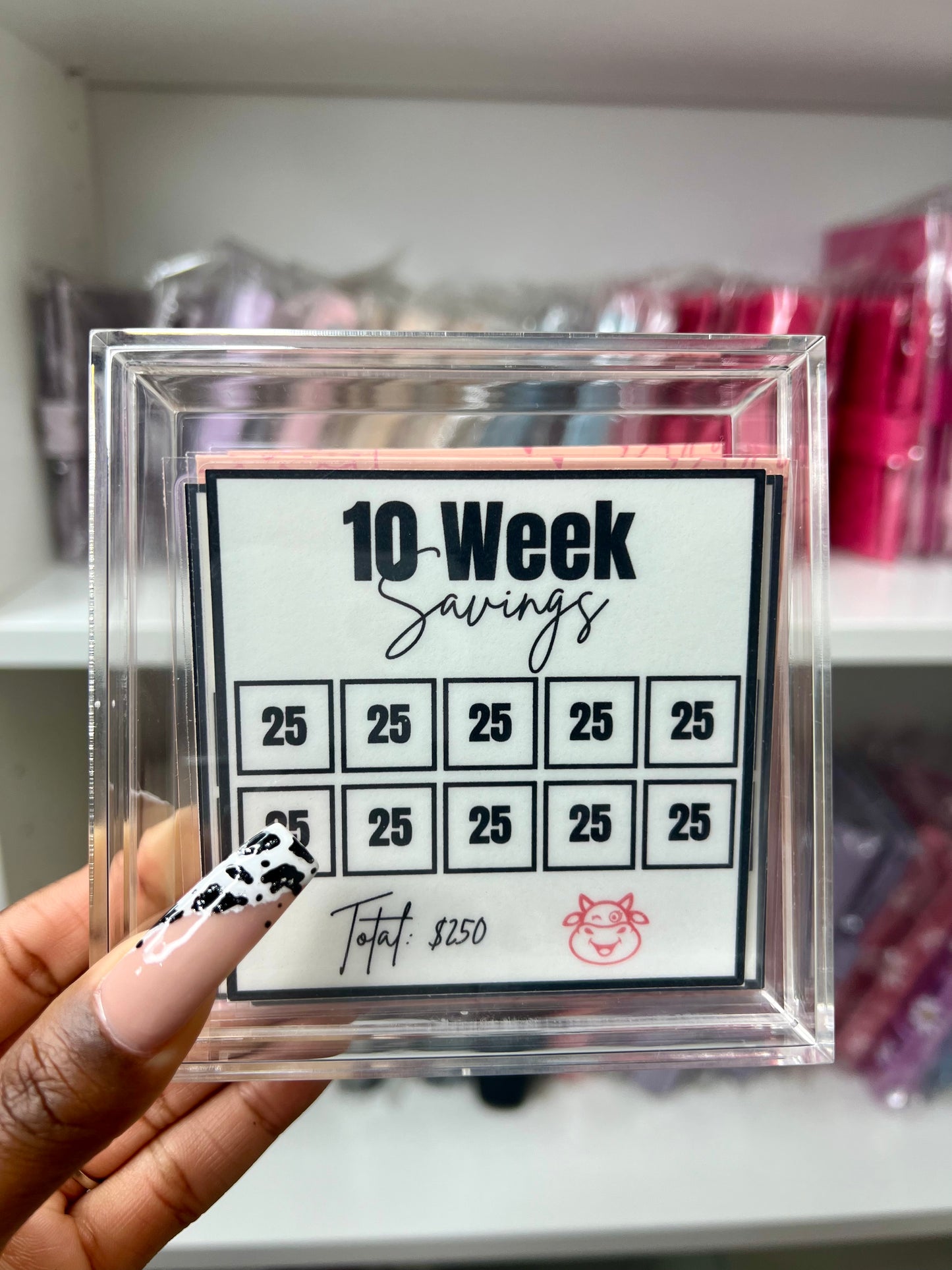 Cat Savings Box | 10 Week Savings Challenge | Save 250 500 or 1000 | Acrylic Box | Low Income | High Income | Savings Challenge